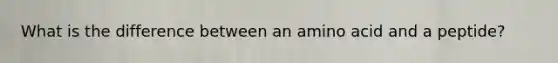 What is the difference between an amino acid and a peptide?
