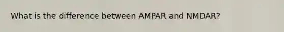 What is the difference between AMPAR and NMDAR?