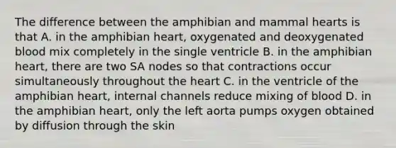 The difference between the amphibian and mammal hearts is that A. in the amphibian heart, oxygenated and deoxygenated blood mix completely in the single ventricle B. in the amphibian heart, there are two SA nodes so that contractions occur simultaneously throughout <a href='https://www.questionai.com/knowledge/kya8ocqc6o-the-heart' class='anchor-knowledge'>the heart</a> C. in the ventricle of the amphibian heart, internal channels reduce mixing of blood D. in the amphibian heart, only the left aorta pumps oxygen obtained by diffusion through the skin