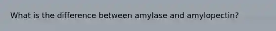 What is the difference between amylase and amylopectin?