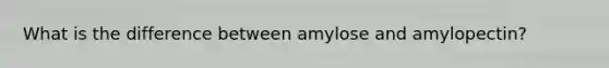 What is the difference between amylose and amylopectin?