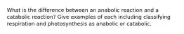 What is the difference between an anabolic reaction and a catabolic reaction? Give examples of each including classifying respiration and photosynthesis as anabolic or catabolic.