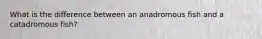 What is the difference between an anadromous fish and a catadromous fish?