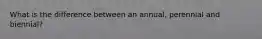 What is the difference between an annual, perennial and biennial?