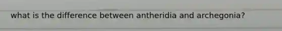 what is the difference between antheridia and archegonia?