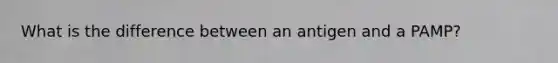 What is the difference between an antigen and a PAMP?