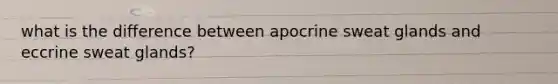 what is the difference between apocrine sweat glands and eccrine sweat glands?