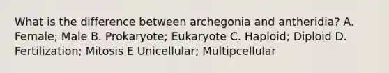 What is the difference between archegonia and antheridia? A. Female; Male B. Prokaryote; Eukaryote C. Haploid; Diploid D. Fertilization; Mitosis E Unicellular; Multipcellular