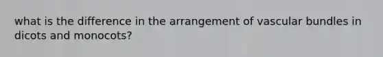what is the difference in the arrangement of vascular bundles in dicots and monocots?