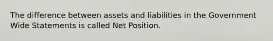 The difference between assets and liabilities in the Government Wide Statements is called Net Position.