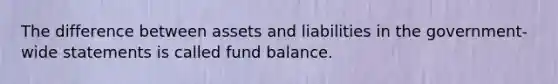 The difference between assets and liabilities in the government-wide statements is called fund balance.