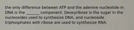 the only difference between ATP and the adenine nucleotide in DNA is the _______ component. Deoxyribose is the sugar in the nucleosides used to synthesize DNA, and nucleoside triphosphates with ribose are used to synthesize RNA.