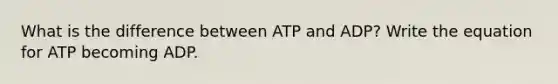 What is the difference between ATP and ADP? Write the equation for ATP becoming ADP.