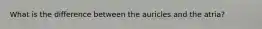 What is the difference between the auricles and the atria?