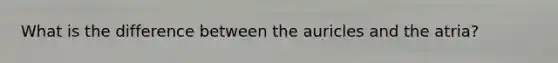 What is the difference between the auricles and the atria?