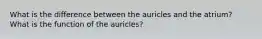 What is the difference between the auricles and the atrium? What is the function of the auricles?