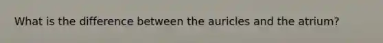 What is the difference between the auricles and the atrium?