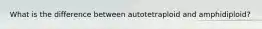 What is the difference between autotetraploid and amphidiploid?