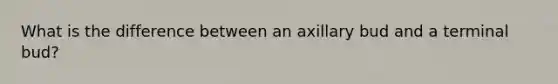 What is the difference between an axillary bud and a terminal bud?