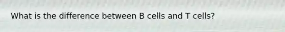 What is the difference between B cells and T cells?