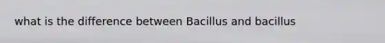 what is the difference between Bacillus and bacillus