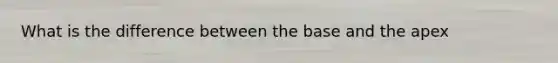 What is the difference between the base and the apex