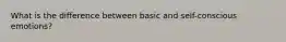 What is the difference between basic and self-conscious emotions?