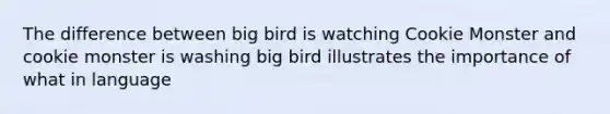 The difference between big bird is watching Cookie Monster and cookie monster is washing big bird illustrates the importance of what in language