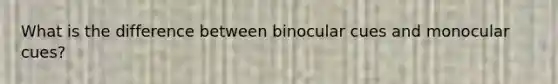 What is the difference between binocular cues and monocular cues?
