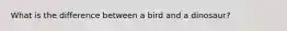 What is the difference between a bird and a dinosaur?