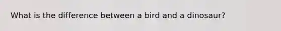 What is the difference between a bird and a dinosaur?