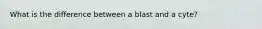 What is the difference between a blast and a cyte?