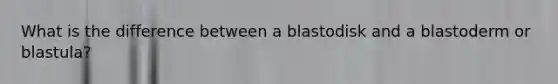What is the difference between a blastodisk and a blastoderm or blastula?