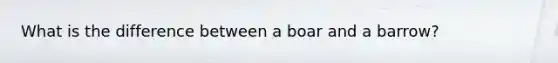 What is the difference between a boar and a barrow?