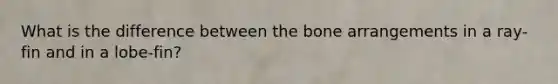 What is the difference between the bone arrangements in a ray-fin and in a lobe-fin?