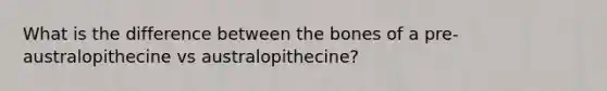 What is the difference between the bones of a pre-australopithecine vs australopithecine?