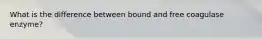 What is the difference between bound and free coagulase enzyme?