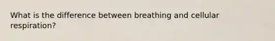 What is the difference between breathing and <a href='https://www.questionai.com/knowledge/k1IqNYBAJw-cellular-respiration' class='anchor-knowledge'>cellular respiration</a>?