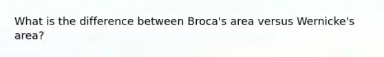 What is the difference between Broca's area versus Wernicke's area?