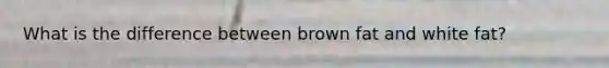 What is the difference between brown fat and white fat?