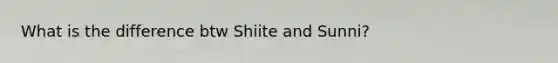 What is the difference btw Shiite and Sunni?