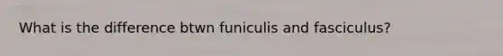 What is the difference btwn funiculis and fasciculus?