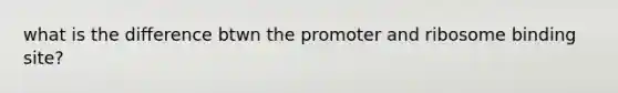 what is the difference btwn the promoter and ribosome binding site?