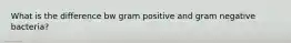 What is the difference bw gram positive and gram negative bacteria?