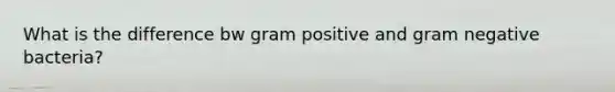 What is the difference bw gram positive and gram negative bacteria?