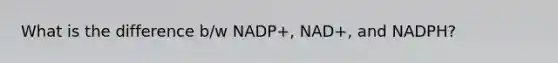 What is the difference b/w NADP+, NAD+, and NADPH?