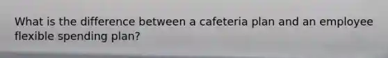 What is the difference between a cafeteria plan and an employee flexible spending plan?