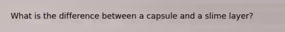 What is the difference between a capsule and a slime layer?