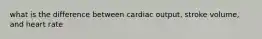 what is the difference between cardiac output, stroke volume, and heart rate