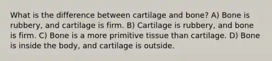 What is the difference between cartilage and bone? A) Bone is rubbery, and cartilage is firm. B) Cartilage is rubbery, and bone is firm. C) Bone is a more primitive tissue than cartilage. D) Bone is inside the body, and cartilage is outside.